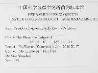 登錄號:F0026307藏品圖，第3張
