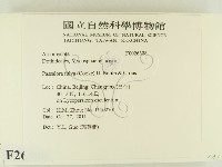 登錄號:F0026308藏品圖，第2張
