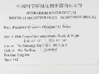 登錄號:F0026309藏品圖，第3張