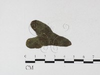 登錄號:F0026309藏品圖，第1張