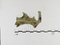 登錄號:F0026310藏品圖，第4張