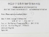 登錄號:F0026311藏品圖，第3張