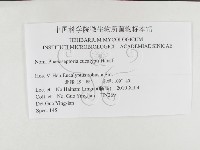 登錄號:F0026312藏品圖，第3張