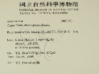 登錄號:F0026313藏品圖，第2張