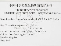 登錄號:F0026313藏品圖，第3張