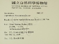 登錄號:F0026314藏品圖，第2張