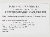 登錄號:F0026314藏品圖，第3張