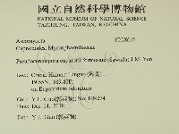 登錄號:F0026315藏品圖，第2張