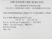 登錄號:F0026316藏品圖，第3張