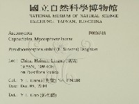 登錄號:F0026318藏品圖，第2張