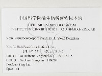 登錄號:F0026318藏品圖，第3張