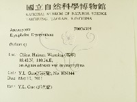 登錄號:F0026319藏品圖，第2張