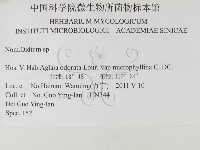 登錄號:F0026319藏品圖，第3張