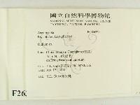 登錄號:F0026320藏品圖，第2張