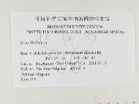 登錄號:F0026320藏品圖，第3張