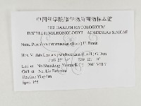 登錄號:F0026321藏品圖，第3張