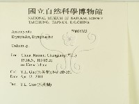 登錄號:F0026322藏品圖，第2張