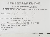 登錄號:F0026322藏品圖，第3張