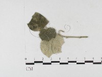 登錄號:F0026322藏品圖，第4張