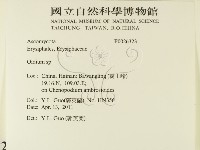 登錄號:F0026323藏品圖，第2張