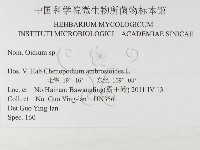 登錄號:F0026323藏品圖，第3張
