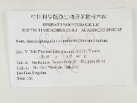 登錄號:F0026324藏品圖，第3張
