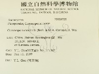 登錄號:F0026325藏品圖，第2張