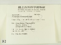 登錄號:F0026326藏品圖，第2張