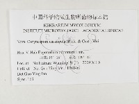 登錄號:F0026326藏品圖，第3張