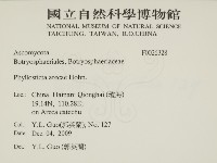 登錄號:F0026328藏品圖，第2張