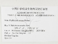 登錄號:F0026328藏品圖，第3張