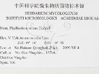 登錄號:F0026329藏品圖，第3張