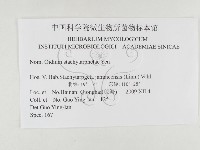 登錄號:F0026330藏品圖，第3張