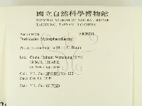 登錄號:F0026331藏品圖，第2張