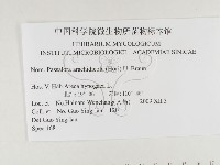 登錄號:F0026331藏品圖，第3張