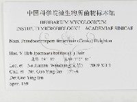 登錄號:F0026332藏品圖，第3張