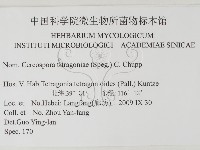 登錄號:F0026333藏品圖，第3張