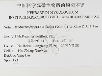 登錄號:F0026335藏品圖，第3張