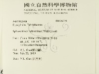 登錄號:F0026336藏品圖，第2張