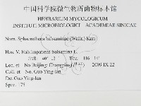 登錄號:F0026336藏品圖，第3張