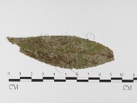 登錄號:F0026336藏品圖，第4張