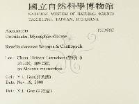 登錄號:F0026337藏品圖，第2張