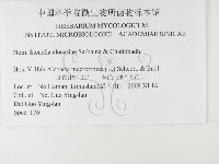 登錄號:F0026337藏品圖，第3張