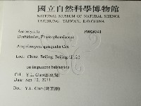 登錄號:F0026341藏品圖，第2張