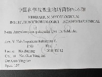 登錄號:F0026341藏品圖，第3張