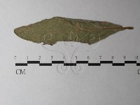 登錄號:F0026341藏品圖，第1張