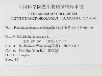 登錄號:F0026342藏品圖，第3張
