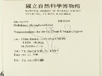 登錄號:F0026344藏品圖，第2張