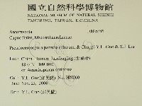 登錄號:F0026346藏品圖，第2張