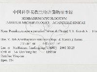 登錄號:F0026346藏品圖，第3張